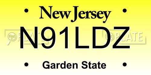 N91LDZ New Jersey License Plate