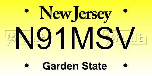 N91MSV New Jersey License Plate