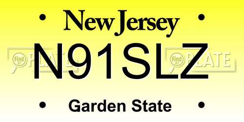 N91SLZ New Jersey License Plate