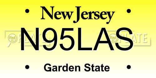 N95LAS New Jersey License Plate