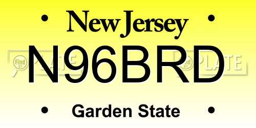 N96BRD New Jersey License Plate