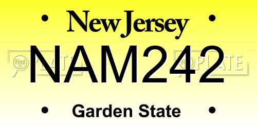 NAM242 New Jersey License Plate
