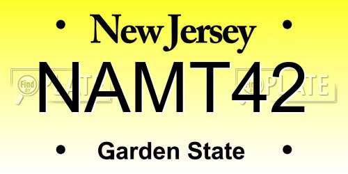 NAMT42 New Jersey License Plate