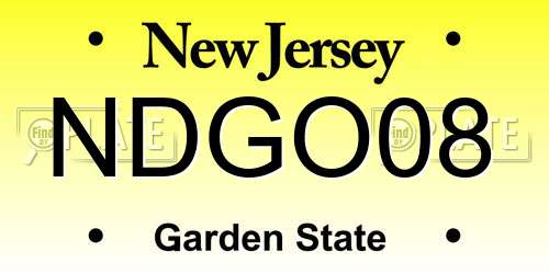 NDGO08 New Jersey License Plate