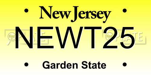 NEWT25 New Jersey License Plate
