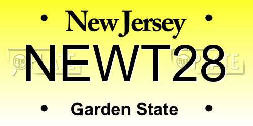 NEWT28 New Jersey License Plate