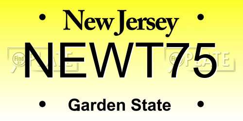NEWT75 New Jersey License Plate