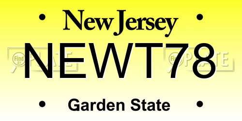 NEWT78 New Jersey License Plate