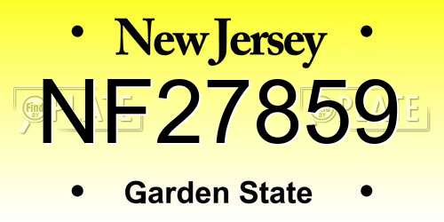 NF27859 New Jersey License Plate