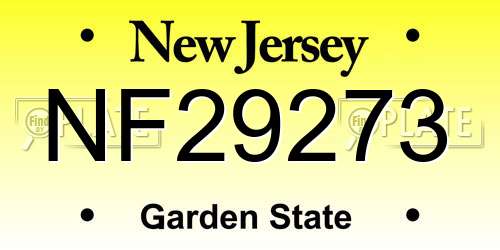 NF29273 New Jersey License Plate