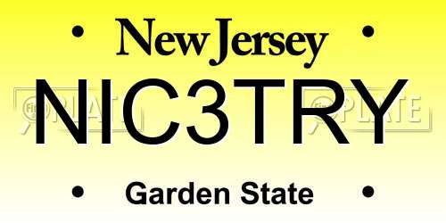 NIC3TRY New Jersey License Plate