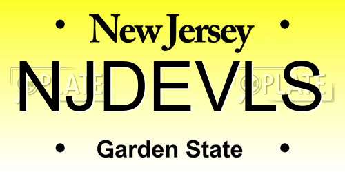 NJDEVLS New Jersey License Plate