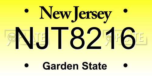 NJT8216 New Jersey License Plate