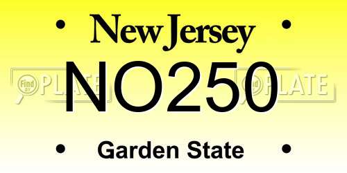 NO250 New Jersey License Plate