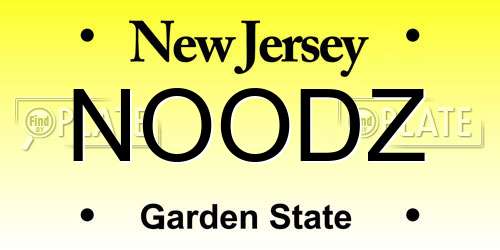 NOODZ New Jersey License Plate