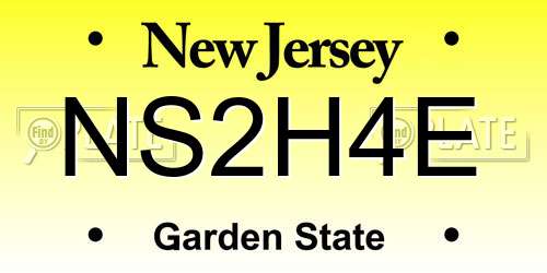 NS2H4E New Jersey License Plate