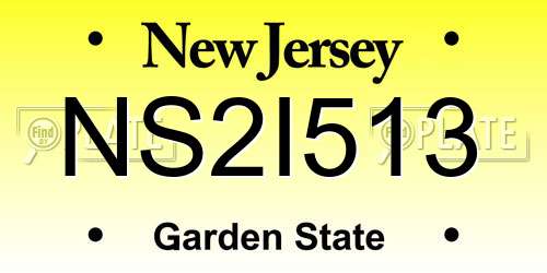 NS2I513 New Jersey License Plate