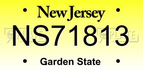 NS71813 New Jersey License Plate