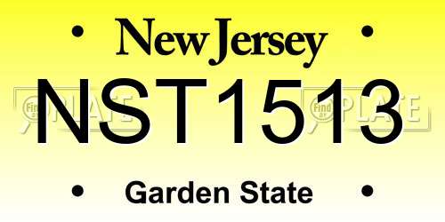 NST1513 New Jersey License Plate