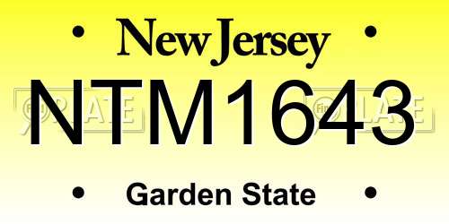NTM1643 New Jersey License Plate