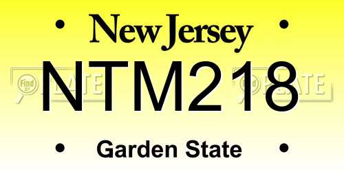 NTM218 New Jersey License Plate
