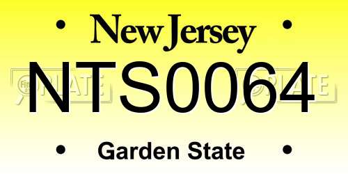 NTS0064 New Jersey License Plate
