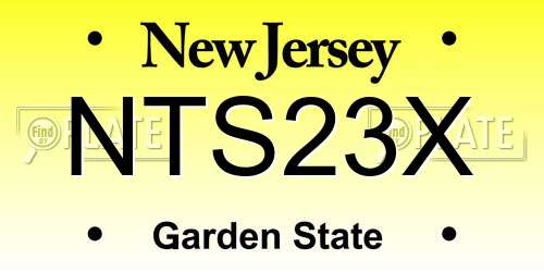 NTS23X New Jersey License Plate