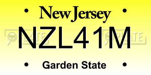 NZL41M New Jersey License Plate