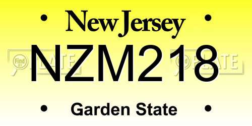 NZM218 New Jersey License Plate