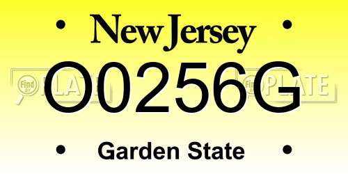 O0256G New Jersey License Plate