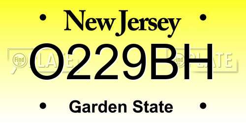 O229BH New Jersey License Plate