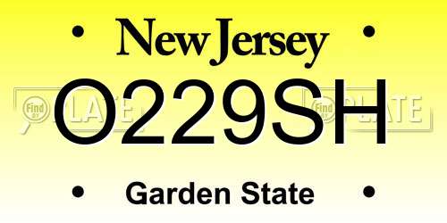 O229SH New Jersey License Plate