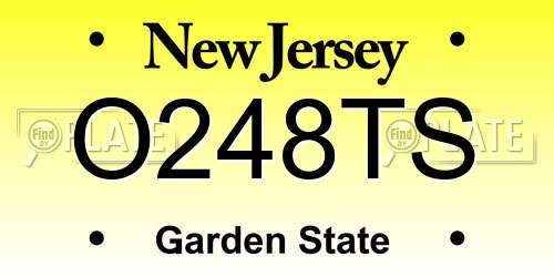 O248TS New Jersey License Plate