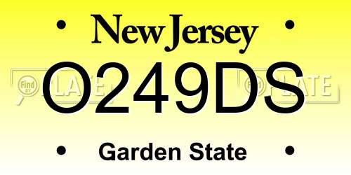 O249DS New Jersey License Plate