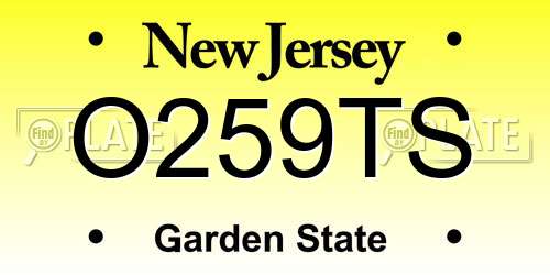 O259TS New Jersey License Plate