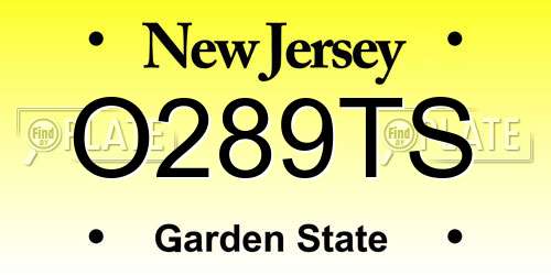 O289TS New Jersey License Plate