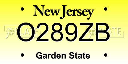 O289ZB New Jersey License Plate