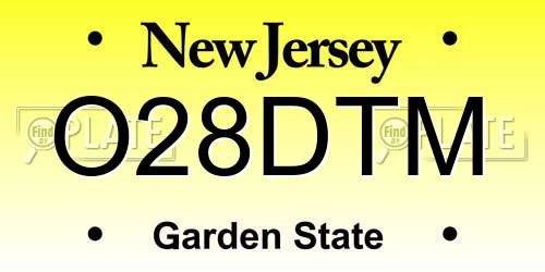 O28DTM New Jersey License Plate