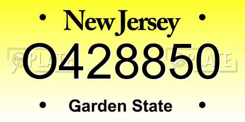 O428850 New Jersey License Plate