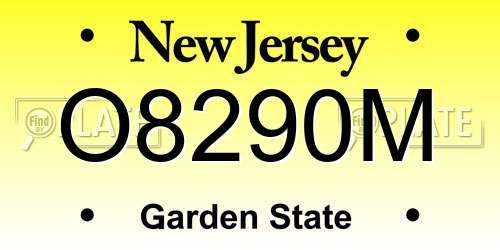 O8290M New Jersey License Plate