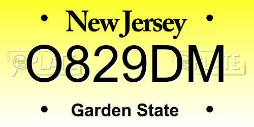 O829DM New Jersey License Plate