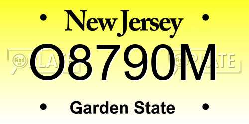 O8790M New Jersey License Plate
