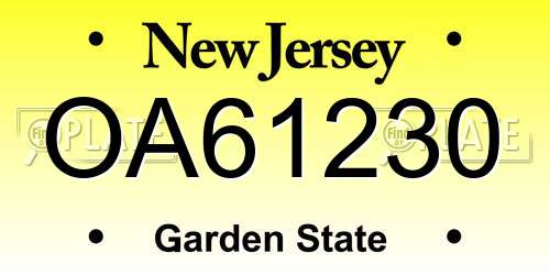 OA61230 New Jersey License Plate