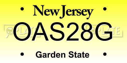 OAS28G New Jersey License Plate