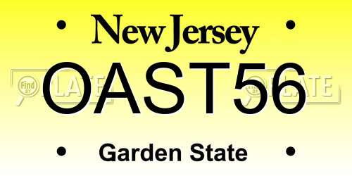 OAST56 New Jersey License Plate