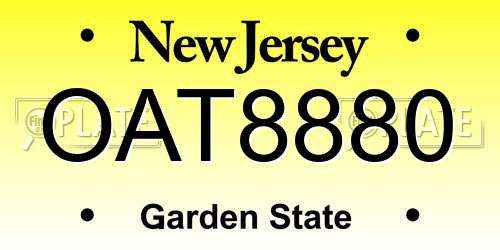 OAT8880 New Jersey License Plate