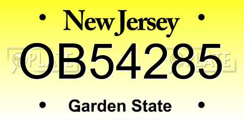 OB54285 New Jersey License Plate
