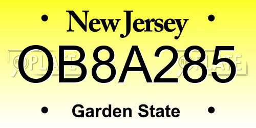 OB8A285 New Jersey License Plate