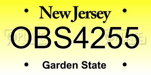 OBS4255 New Jersey License Plate