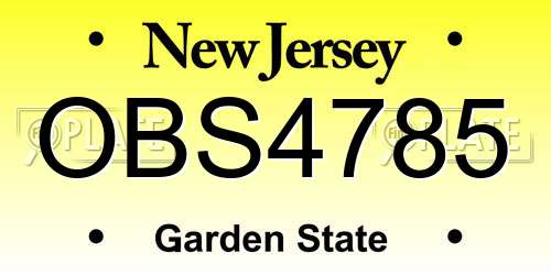 OBS4785 New Jersey License Plate